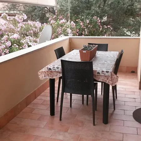 Bouganville * La Maddalena (Sassari)
